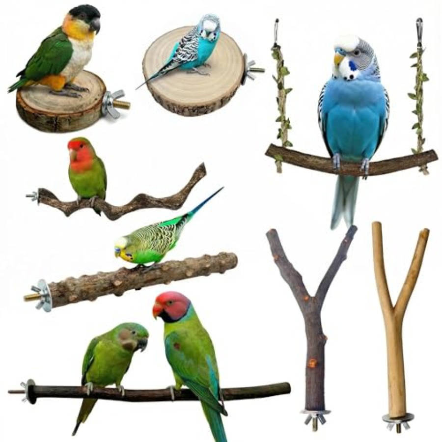 Health & Wellness Utsg - 8PCS natural wood bird perches for