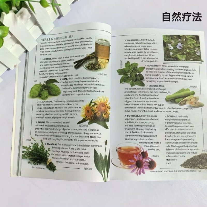 Sustain Me English Paperback B - Health Wellness Foundation ulasan dan harga