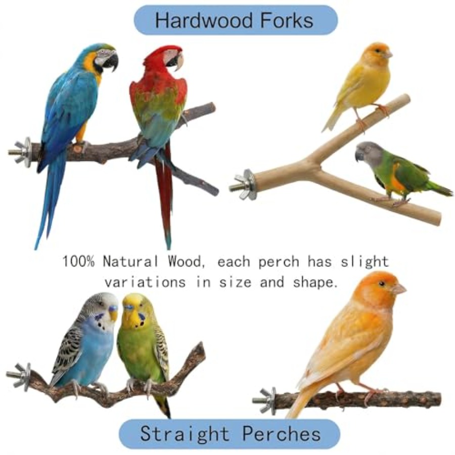 8PCS natural wood bird perches - Health & Wellness Utsg ulasan dan harga